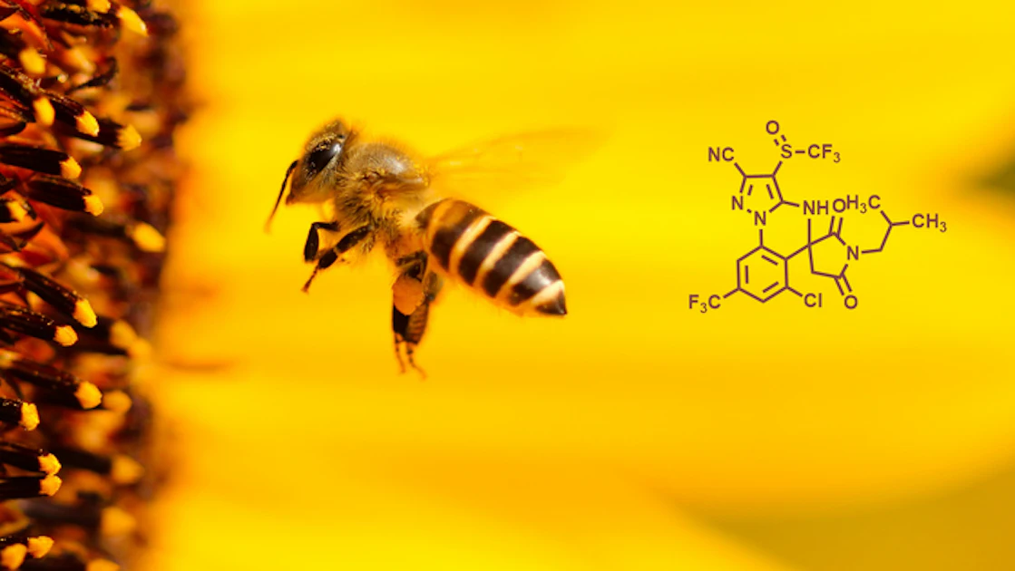 New Insecticide Compounds Reduce Bee Toxicity | Food Manufacturing