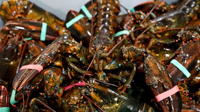 Lobsters in a crate at a shipping facility in Arundel, Maine, Nov. 18, 2020.