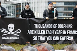 Activists stand by dead dolphins they spread in front of the European parliament in Strasbourg, France, March 14, 2023.