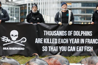 Activists stand by dead dolphins they spread in front of the European parliament in Strasbourg, France, March 14, 2023.
