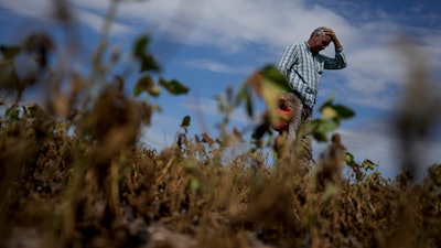 Martin Sturla stands in in his dry soybean field amid a drought in San Antonio de Areco, Argentina, March 20, 2023.