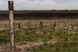 A water meter in a dry wetland in Donana natural park, Spain, Oct. 19, 2022.