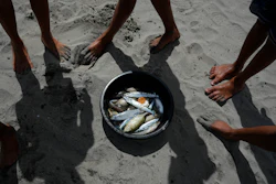 Residents of Tanauan, Philippines, look at the day's catch, Oct. 27, 2022.