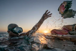 Edmond Coverley pulls up conch shells from his underwater pen in West End, Grand Bahama Island, Dec. 6, 2022.
