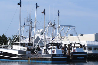 Fishing boats at the dock in Point Pleasant Beach, N.J., Sept. 11, 2019.