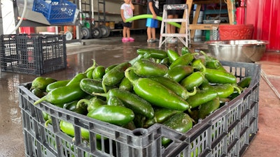 A basket of green chile at Grajeda Hatch Chile Market in Hatch, N.M., July 12, 2012.