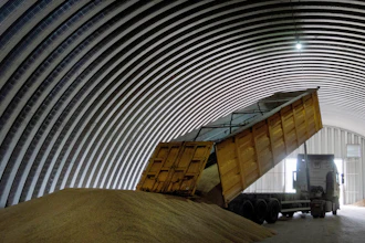 A track unloads grain in a granary, Zghurivka, Ukraine, Aug. 9, 2022.