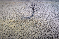 The dry Sau reservoir north of Barcelona, March 20, 2023.