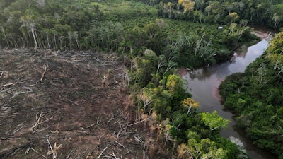 Cut down trees near Cordillera Azul National Park, Peru, Oct. 3, 2022.