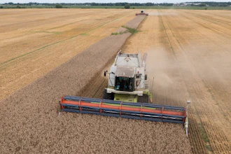 Harvesters collect wheat in Zghurivka, Ukraine, Aug. 9, 2022.