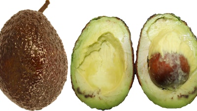 Avocados with a novel chitosan-based coating.