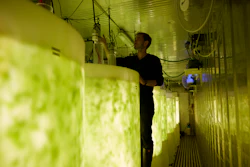 A 40-ft. container setup, equipped with eight 1,000-liter tanks, combines salt water, CO2 and nutrients with LED lights and produces a full batch of seaweed in just one week.