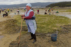 Dolores Pazos, 62, pauses as she removes sand to look for clams, Lourizan, Spain, April 20, 2023.