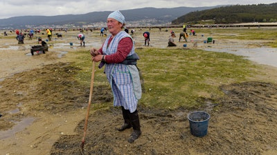 Dolores Pazos, 62, pauses as she removes sand to look for clams, Lourizan, Spain, April 20, 2023.