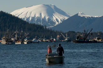 Boats jockey for position before the opening of the Sitka Sound sac roe herring fishery, Sitka, Alaska, March 23, 2014.