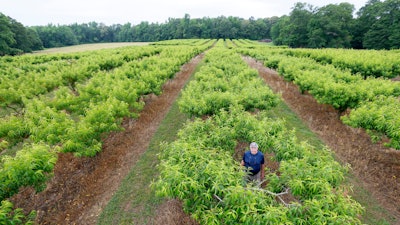 Jim Markley, the proprietor of CJ Orchards Farm, poses for a photo in Rutledge, Ga., May 31, 2023.