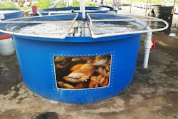 Low Res Fishtank 200dpi Photo Victor Lobanov