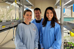 From left, Emily Mackie, Andrew Barrow and Tatiana Soares da Costa of the University of Adelaide.
