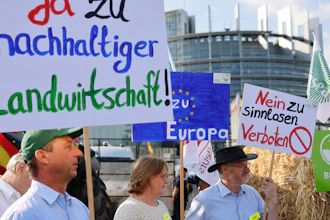 German farmers supporting the EU's Green Deal bill demonstrate outside the European Parliament, Strasbourg, July 11, 2023.