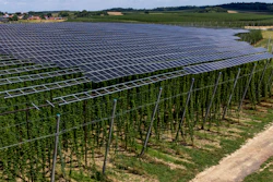 Solar panels above a hops field near Au in der Hallertau, Germany, July 19, 2023.