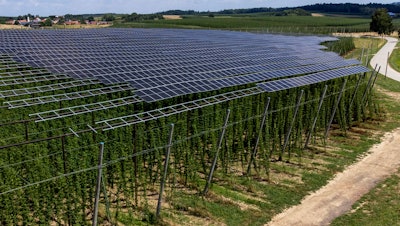 Solar panels above a hops field near Au in der Hallertau, Germany, July 19, 2023.