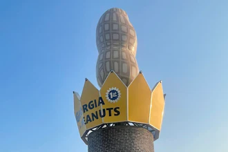 The Big Peanut monument, Ashburn, Ga., July 20, 2023.