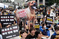Activists stage a rally opposing South Korea's traditional culture of eating dog meat, Seoul, July 8, 2023.