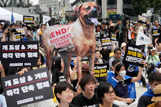 Activists stage a rally opposing South Korea's traditional culture of eating dog meat, Seoul, July 8, 2023.