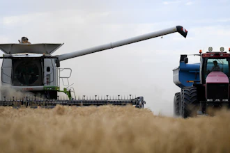 Farm workers harvest a grain crop near Moree, Australia, Nov. 2, 2021.