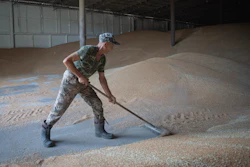 A worker rakes wheat in a granary on a farm in Zhurivka, Ukraine, Aug. 10, 2023.