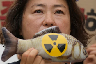 A woman holds a mock fish during a rally in Seoul, Aug. 24, 2023.