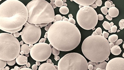 Wheat starch granules observed under a scanning electron microscope.