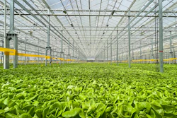 Gotham Greens new greenhouse in Windsor, Colo.
