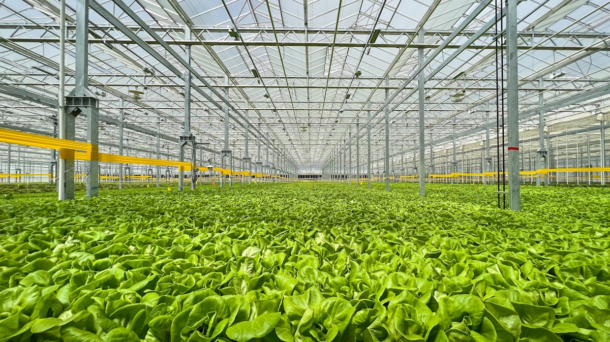 Sustainable Farming with Gotham Greens