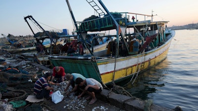 Palestinian fishermen sort through their catch in Gaza City, Sept. 7, 2023.