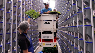 Workers hand off plants during operations at a vertical farm greenhouse in Cleburne, Texas, Aug. 29, 2023. Indoor farming brings growing inside in what experts sometimes call “controlled environment agriculture.”