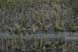 A road cuts through a flooded area south of Perry, Fla., following Hurricane Idalia, Aug. 30, 2023.