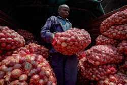 Timothy Kinyua unloads sacks of onions at a market in Nairobi, Kenya, Sept. 12, 2023.