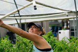 Kim Dillon, manager at Ben & Ben Becnel, Inc., rightens a sprinkler in one of their greenhouses in Plaquemines Parish, La., Thursday, Sept. 28, 2023.