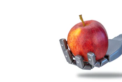 Apple Tech I Stock 1368573911