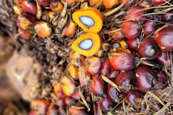 Low Res Lieke Palm Oil 5