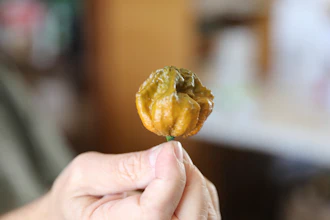 A Pepper X in Fort Mill, S.C., Oct. 10, 2023.