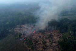 A forest burns in Manaquiri, Brazil, Sept. 6, 2023.