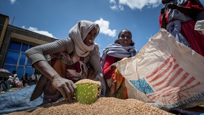 A woman scoops up wheat distributed by the Relief Society of Tigray, Agula, Ethiopia, May 8, 2021.