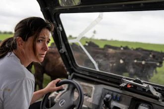 Meredith Ellis does her daily cattle count on her ranch in Rosston, Texas, April 19, 2023.