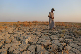 A fisherman walks across a dry patch of land in the marshes in Dhi Qar province, Iraq, Sept. 2, 2022.