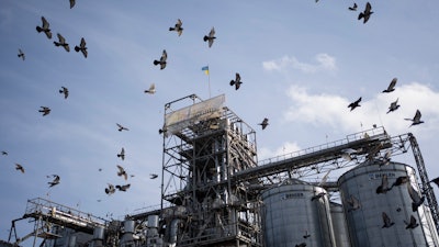 Birds fly around a grain handling and storage facility in central Ukraine, Nov. 10, 2023.