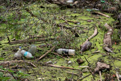 Muddy plastic bottles have flowed downstream and become lodged against fallen trees and within the dense foliage in Tisza River near Tiszaroff, Hungary, Aug. 1, 2023.