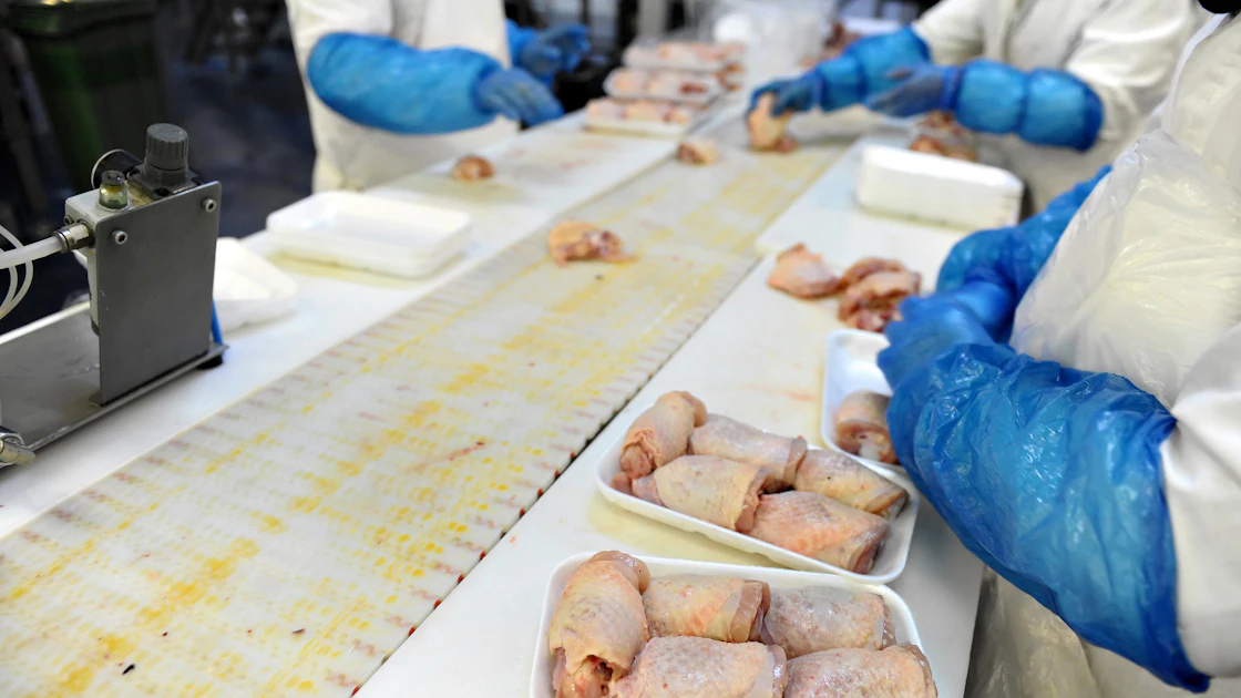 OSHA Fines Ohio Meat Processor Following Worker's Injury | Food ...