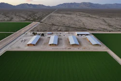 Bales of hay are stored under shelters at Al Dahra Farms, Tuesday, Oct. 17, 2023, in the McMullen Valley in Wenden, Ariz.